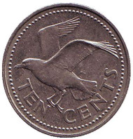 Монета 10 центов. 1992 год, Барбадос. Чайка. Монета 10 центов. 1992 год, Барбадос. Чайка.