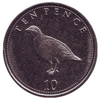 Куропатка. Монета 10 пенсов. 2016 год, Гибралтар. UNC.