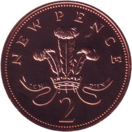 Монета 2 новых пенса. 1977 год, Великобритания. Proof. Монета 2 новых пенса. 1977 год, Великобритания. Proof.