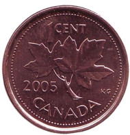 Монета 1 цент. 2005 год, Канада. (Магнитная). Монета 1 цент. 2005 год, Канада. (Магнитная).