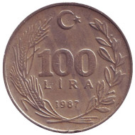 Монета 100 лир. 1987 год, Турция. Монета 100 лир. 1987 год, Турция.