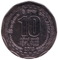 Монета 10 рупий. 2013 год, Шри-Ланка. Монета 10 рупий. 2013 год, Шри-Ланка.