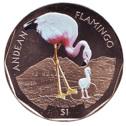 Монета 1 доллар. 2019 год, Британские Виргинские острова. Андский фламинго.