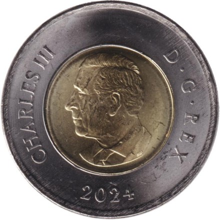 Монета 2 доллара. 2024 год, Канада. 100 лет Королевским военно-воздушным силам Канады. (Цветная).