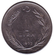 Монета 1 лира. 1977 год, Турция. Монета 1 лира. 1977 год, Турция.