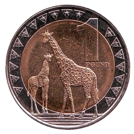 Монета 1 фунт. 2015 год, Южный Судан. Жирафы.