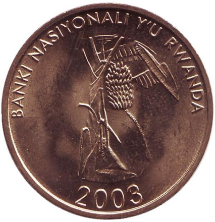 2003-1qo.jpg