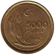 Монета 5000 лир. 1996 год, Турция. Монета 5000 лир. 1996 год, Турция.