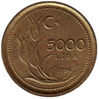 Монета 5000 лир. 1996 год, Турция.
