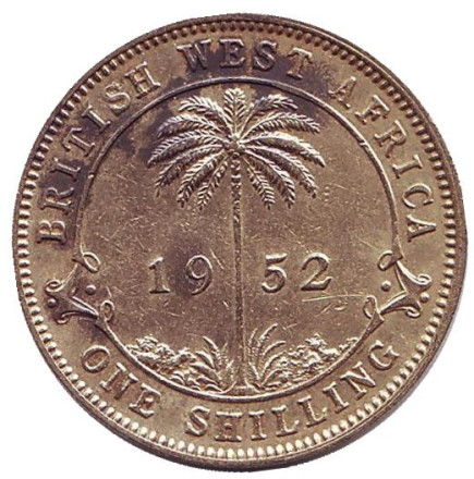 Монета 1 шиллинг. 1952 год (H), Британская Западная Африка.