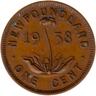 Монета 1 цент. 1938 год, Ньюфаундленд. (Канада). Саррацения.