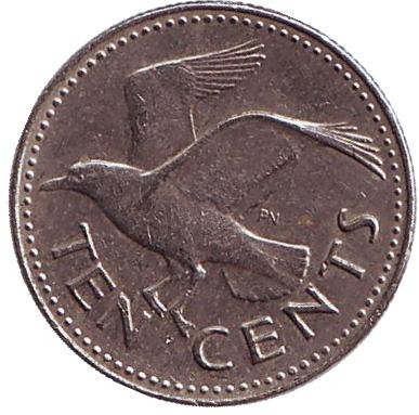 Монета 10 центов. 1987 год, Барбадос. Чайка.