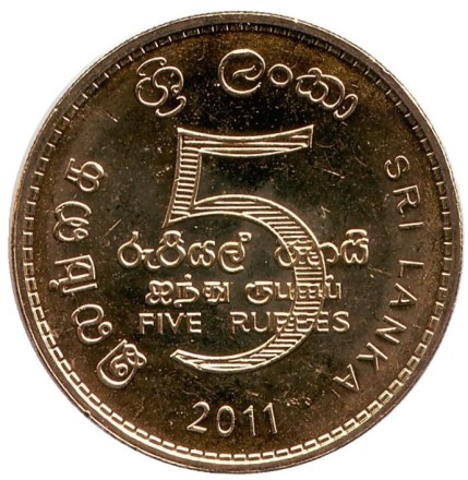 5rupuj-2.jpg 5rupuj-2.jpg