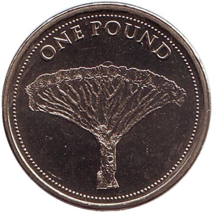 Монета 1 фунт. 2016 год, Гибралтар. UNC. Драконово дерево.