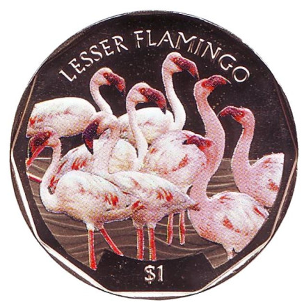 Монета 1 доллар. 2019 год, Британские Виргинские острова. Малый фламинго.
