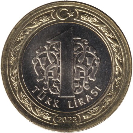 Монета 1 лира. 2023 год, Турция.