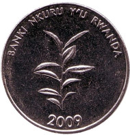Монета 20 франков. 2009 год, Руанда. Побег чая. Монета 20 франков. 2009 год, Руанда. Побег чая.
