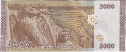 Банкнота 5000 фунтов. 2024 год, Сирия. Банкнота 5000 фунтов. 2024 год, Сирия.