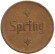 Жетон на счастье, лотерейный, сувенирный. "Spring". Жетон на счастье, лотерейный, сувенирный. "Spring".