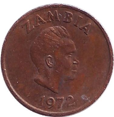 Монета 1 нгве. 1972 год, Замбия. Трубкозуб. (Аардварк). Монета 1 нгве. 1972 год, Замбия. Трубкозуб. (Аардварк).