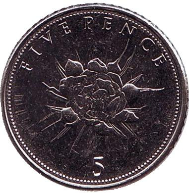 Монета 5 пенсов. 2015 год, Гибралтар. Цветок.