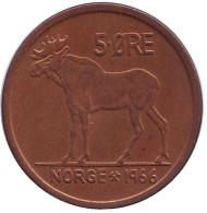 Монета 5 эре. 1966 год, Норвегия. Лось. Монета 5 эре. 1966 год, Норвегия. Лось.