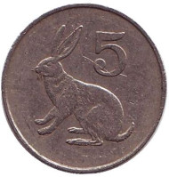 Монета 5 центов, 1980 год, Зимбабве. Кролик. Монета 5 центов, 1980 год, Зимбабве. Кролик.