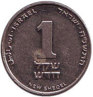 Монета 1 новый шекель. 1995 год, Израиль. Монета 1 новый шекель. 1995 год, Израиль.