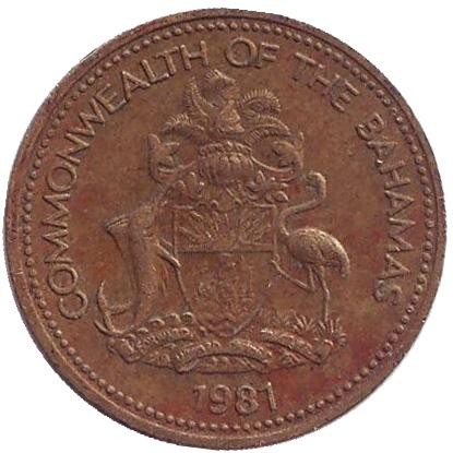 Монета 1 цент. 1981 год, Багамские острова. Без отметки монетного двора. Морская звезда.