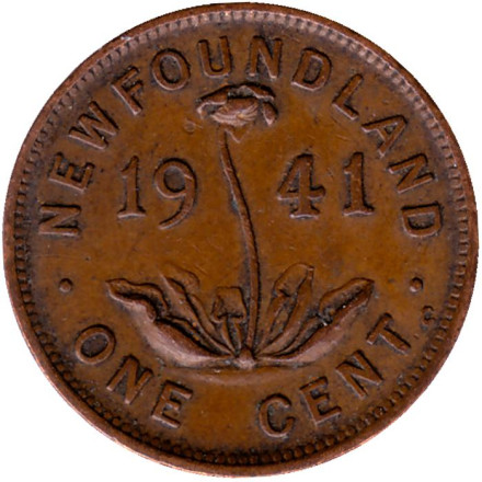 Монета 1 цент. 1941 год, Ньюфаундленд. (Канада). Саррацения.
