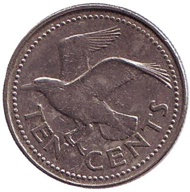 Монета 10 центов. 1996 год, Барбадос. Чайка.