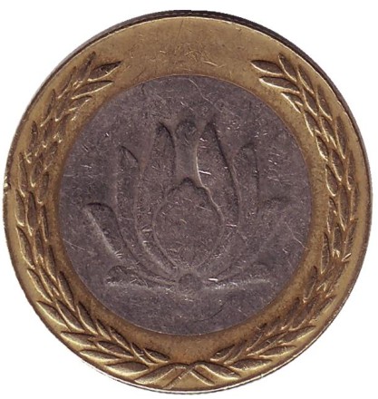 1112ay.jpg 1112ay.jpg