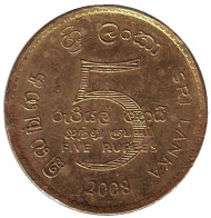 Монета 5 рупий. 2008 год, Шри-Ланка.