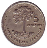 Монета 5 сентаво. 1989 год, Гватемала. Хлопковое дерево. Монета 5 сентаво. 1989 год, Гватемала. Хлопковое дерево.