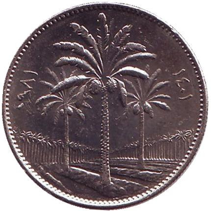Монета 25 филсов, 1981 год, Ирак. Пальмовые деревья.