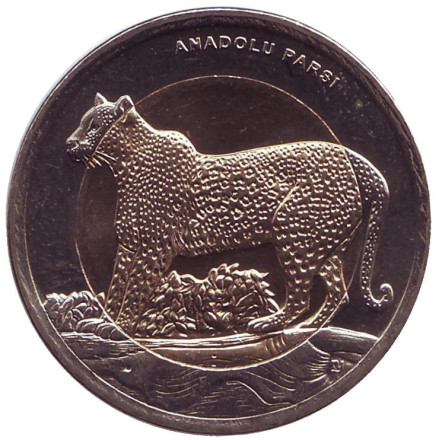 Монета 1 лира, 2012 год, Турция. Леопард.