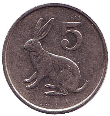 Кролик. 5 центов, 1995 год, Зимбабве. 