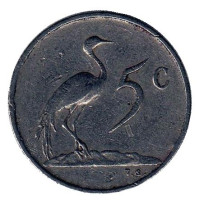 Африканская красавка. Монета 5 центов. 1973 год, Южная Африка.