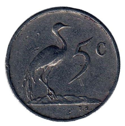 Монета 5 центов. 1973 год, Южная Африка. Африканская красавка.