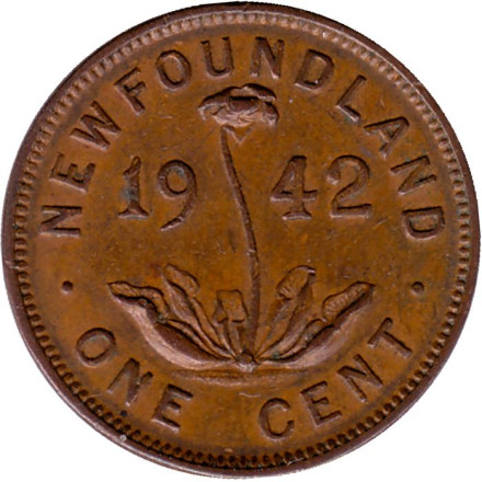Монета 1 цент. 1942 год, Ньюфаундленд. (Канада). Саррацения.
