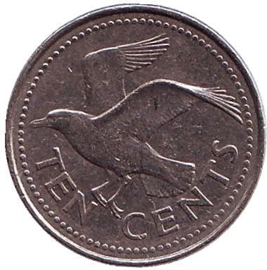 Монета 10 центов. 2005 год, Барбадос. Чайка.