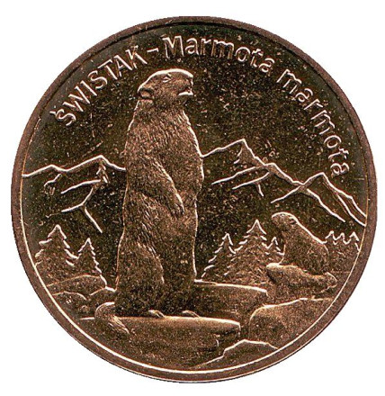 Монета 2 злотых, 2006 год, Польша. Альпийский сурок.
