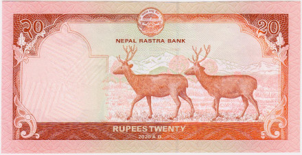 Банкнота 20 рупий. 2020 год, Непал.