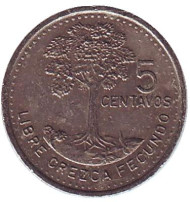 Монета 5 сентаво. 1997 год, Гватемала. Хлопковое дерево. Монета 5 сентаво. 1997 год, Гватемала. Хлопковое дерево.