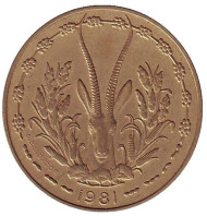 Монета 10 франков. 1981 год, Западные Африканские Штаты. Старый тип. Монета 10 франков. 1981 год, Западные Африканские Штаты. Старый тип.