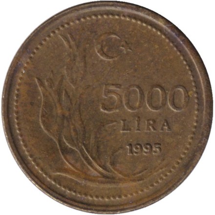 Монета 5000 лир. 1995 год, Турция. Крупная дата.