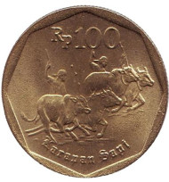 Монета 100 рупий. 1998 год, Индонезия. Погонщики коров. Монета 100 рупий. 1998 год, Индонезия. Погонщики коров.