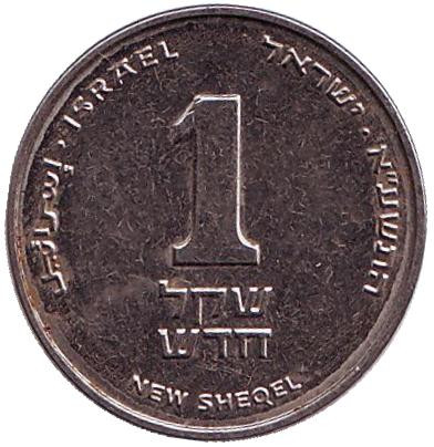 Монета 1 новый шекель. 2011 год, Израиль. (без подсвечника)