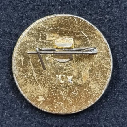 Юный ОСВОДовец. ОСВОД РСФСР. Значок. СССР. (Без клейма). Юный ОСВОДовец. ОСВОД РСФСР. Значок. СССР. (Без клейма).