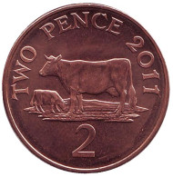 Монета 2 пенса. 2011 год, Гернси. Корова. Монета 2 пенса. 2011 год, Гернси. Корова.